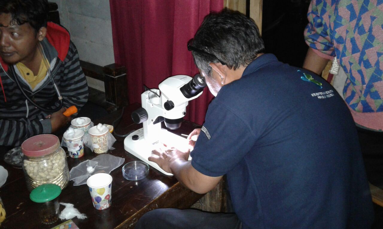Survei Bionomik Larva Dan Nyamuk Dewasa Vektor Filariasis di Kabupaten Semarang Provinsi Jawa Tengah Tahun 2018