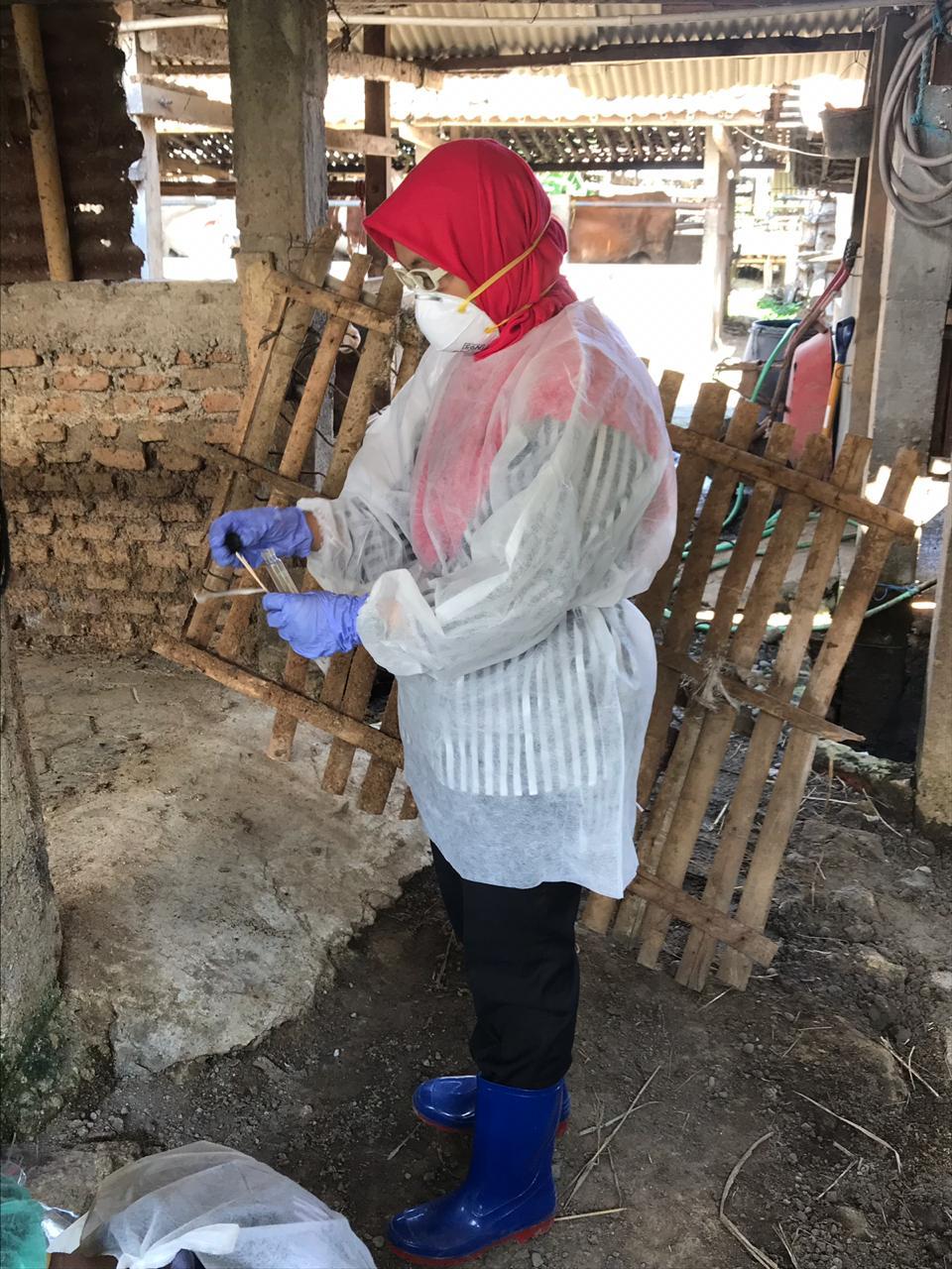 Surveilans Faktor Risiko Penyakit Zoonosis Yang Berpotensi KLB