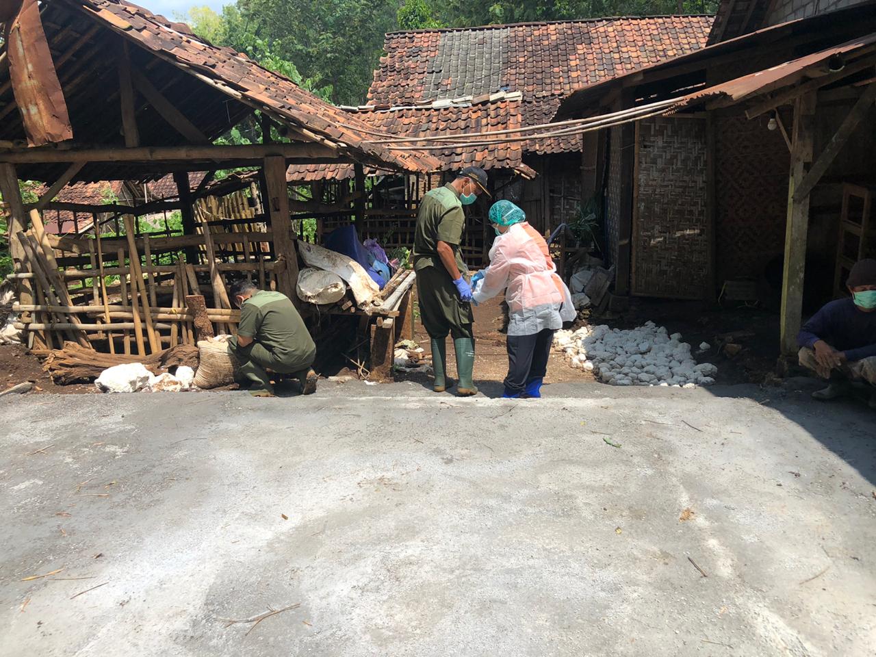 Pengambilan Sampel Lingkungan Dalam Rangka Pemantauan Lingkungan Penyakit Antraks Di Kabupaten Gunungkidul Yogyakarta